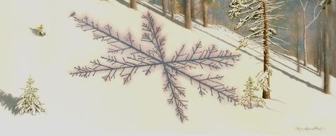 Picture-Winter-Red Spruce