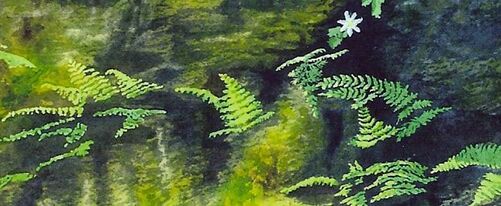 Picture-Spring-Magic-Ferns