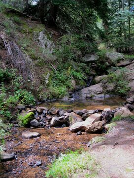 Picture-Stream-Cub Creek Park