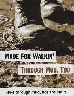 Picture-Walking Through Mud