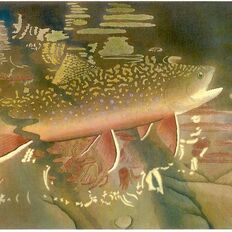 brook trout print - unique nature art