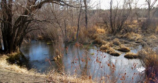 Picture-Cherry Creek-Spring