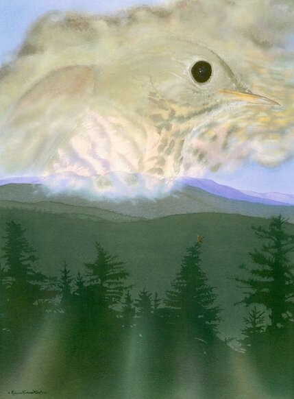 Unique nature art by studio d'une. Bicknell's thrush as one with the clouds.