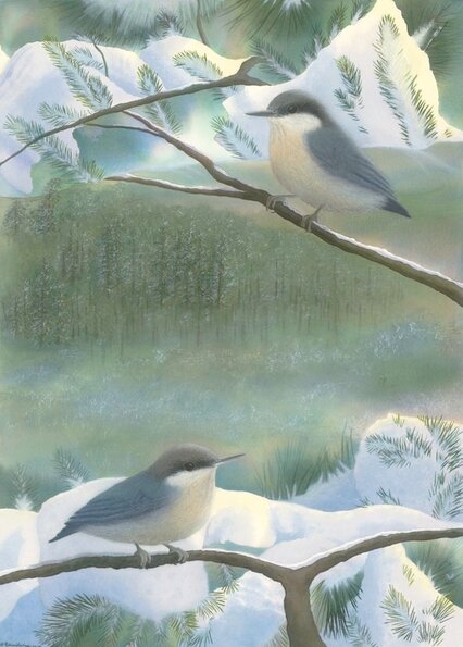 Unique nature art from studio d'une. Pygmy nuthatch as one with the winter forest.