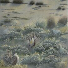 original painting - studio d'une - home for sage grouse