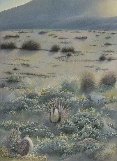 studio d'une - sage grouse one with sage forest