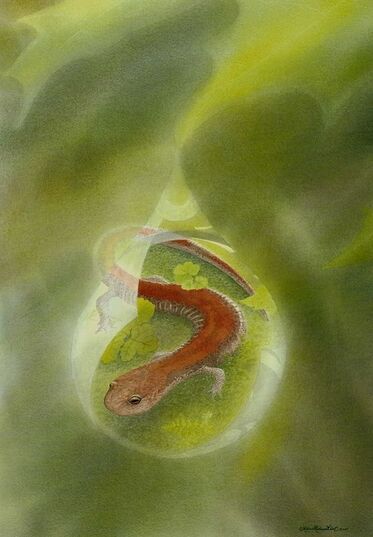 Nature art from studio d'une. Salamander as one with a raindrop.
