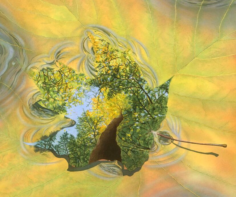 Nature art by studio d'une. Sugar maple as one with a stream in autumn.