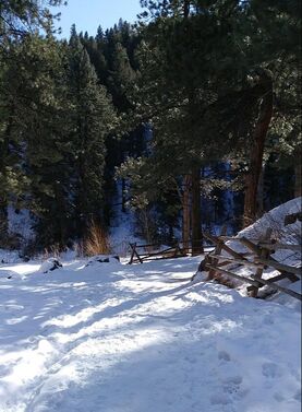 Picture-Snow-Trail-studiodune