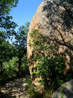 Picture-Castlewood Canyon-Trail