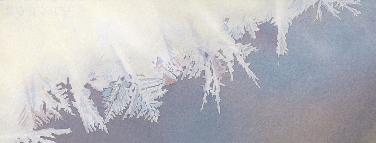 unique nature art - winter frost