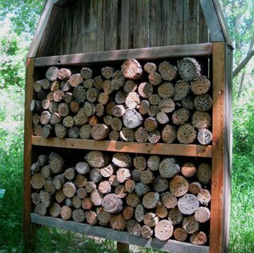 Picture-Bee Hotel