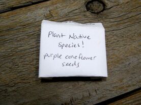Picture-Native Seed Packets