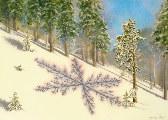 Nature art from studio d'une. Red spruce as one with the sparkling snow.