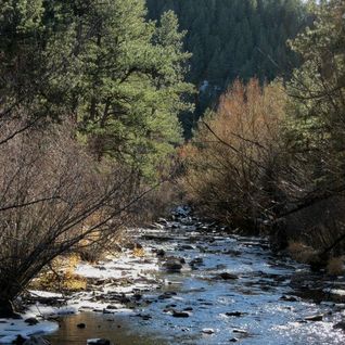 photo bear creek