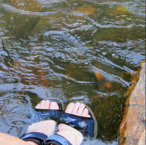 Picture-Toes in Bear Creek